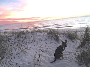 On the beach
