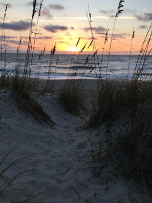 On the beach