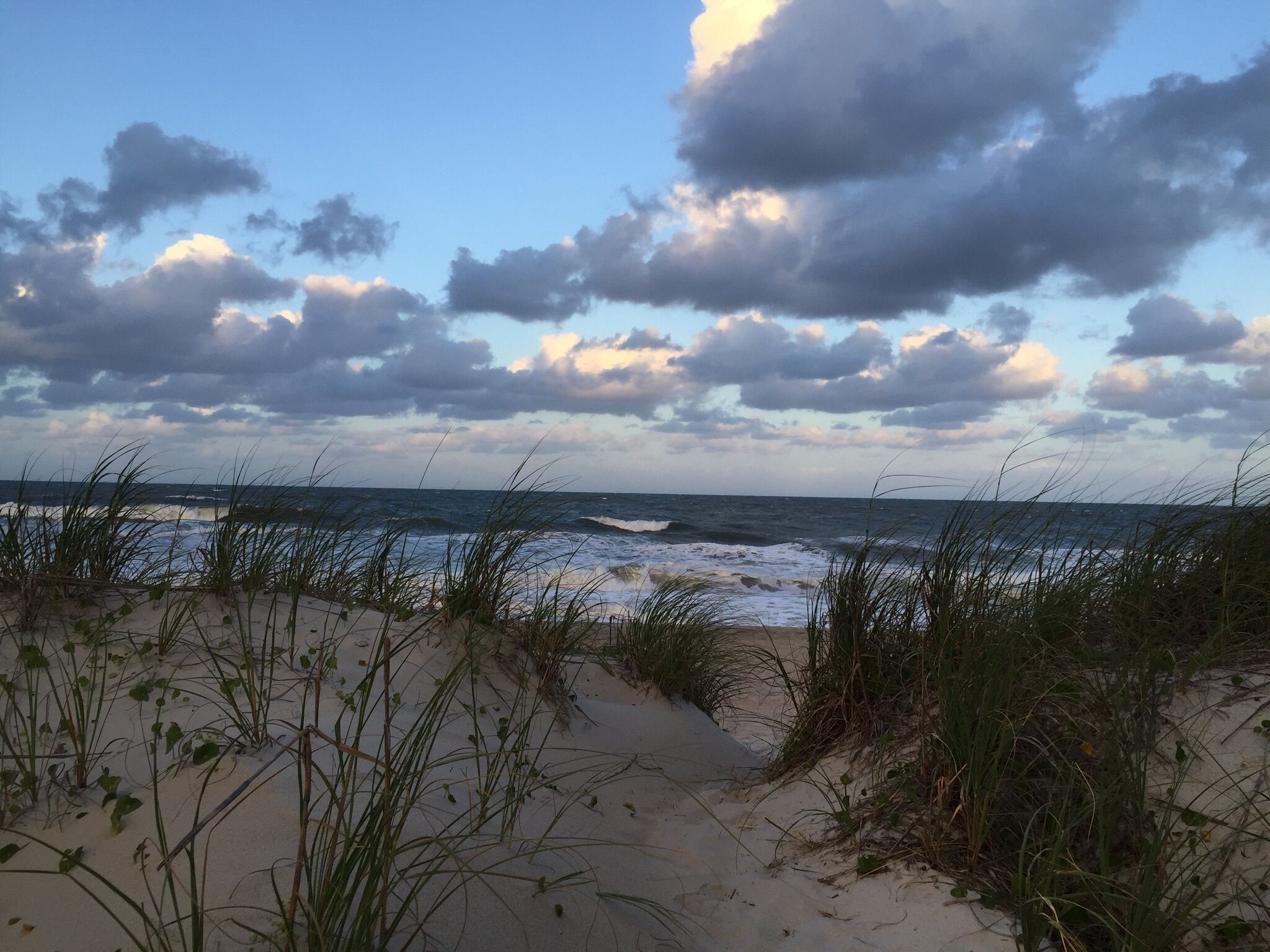 På stranden