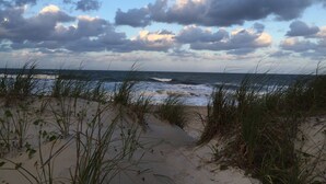 Ein Strand mit Dünen und Gras.