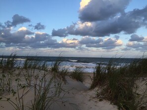On the beach