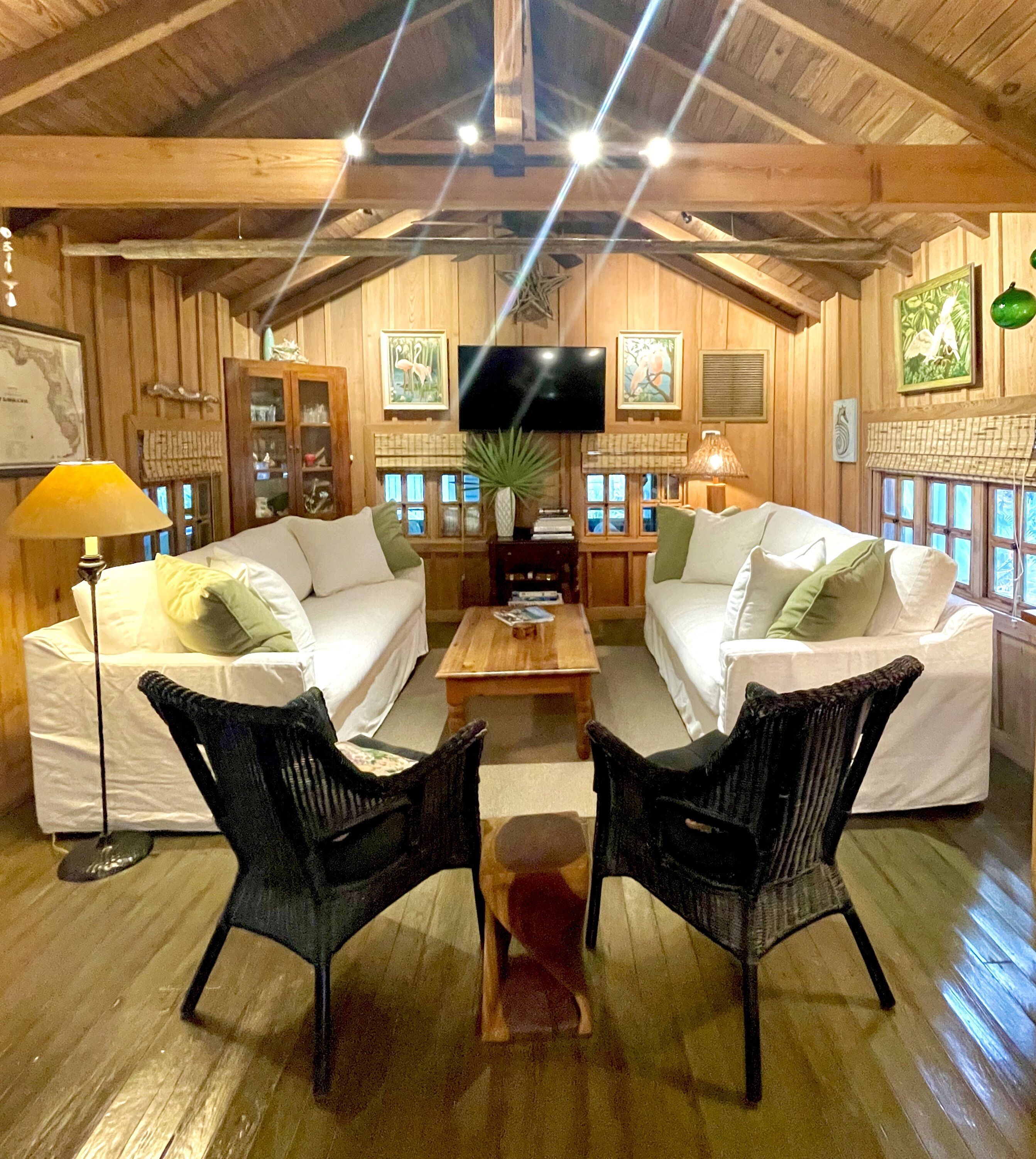 Smart TV, DVD player, books, stereo