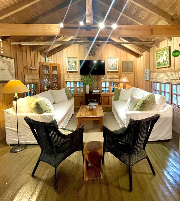 Smart TV, DVD player, books, stereo