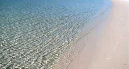 The Smith House - Updated Historic Charm