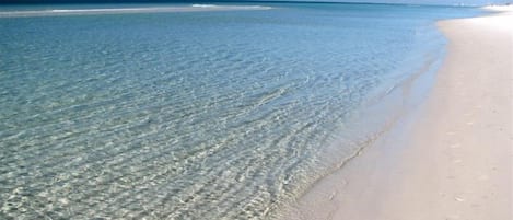 Una playa con aguas cristalinas y una orilla arenosa.