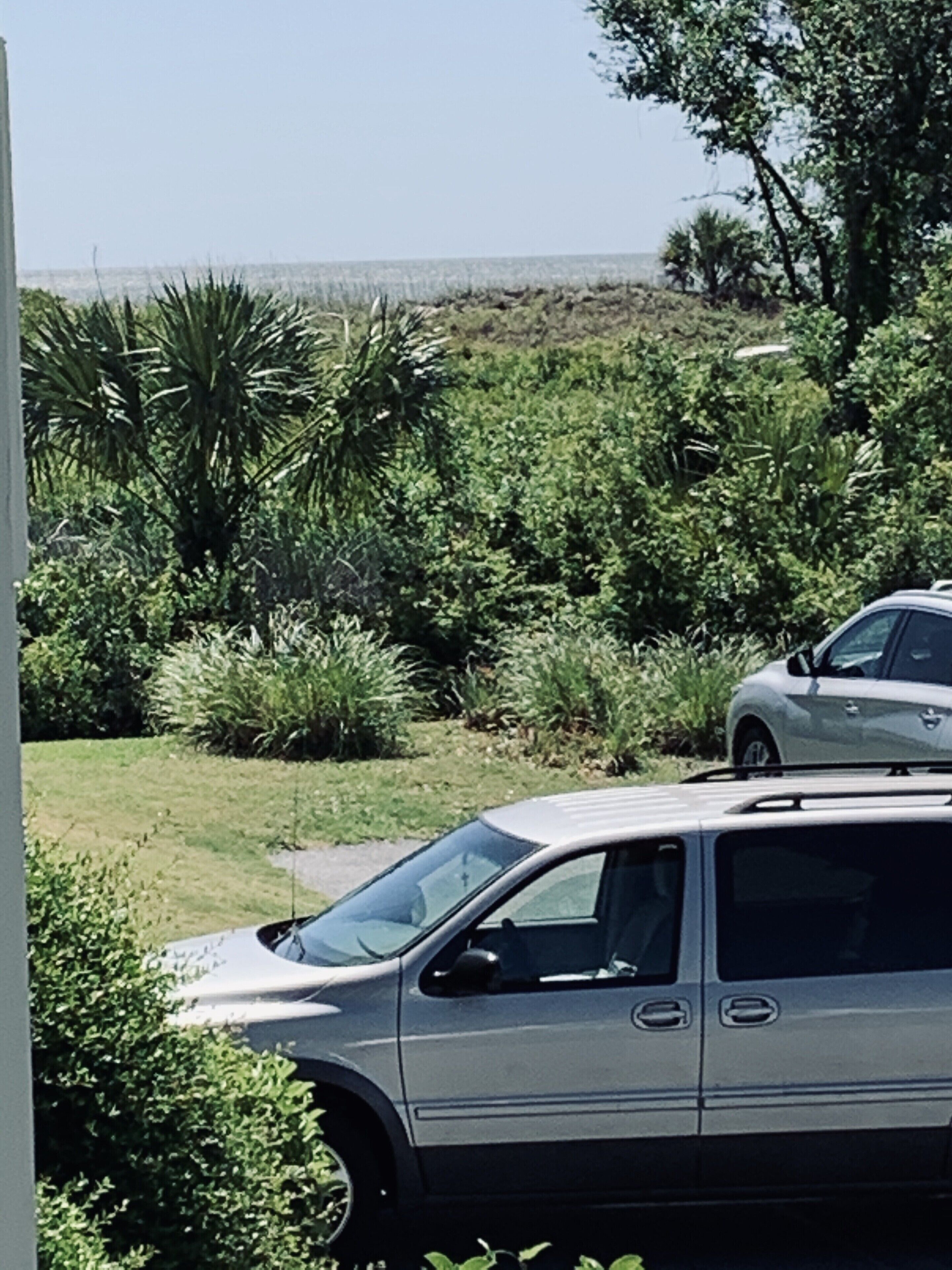 A white car parked in a driveway with a lush garden and a view of the ocean in the background.