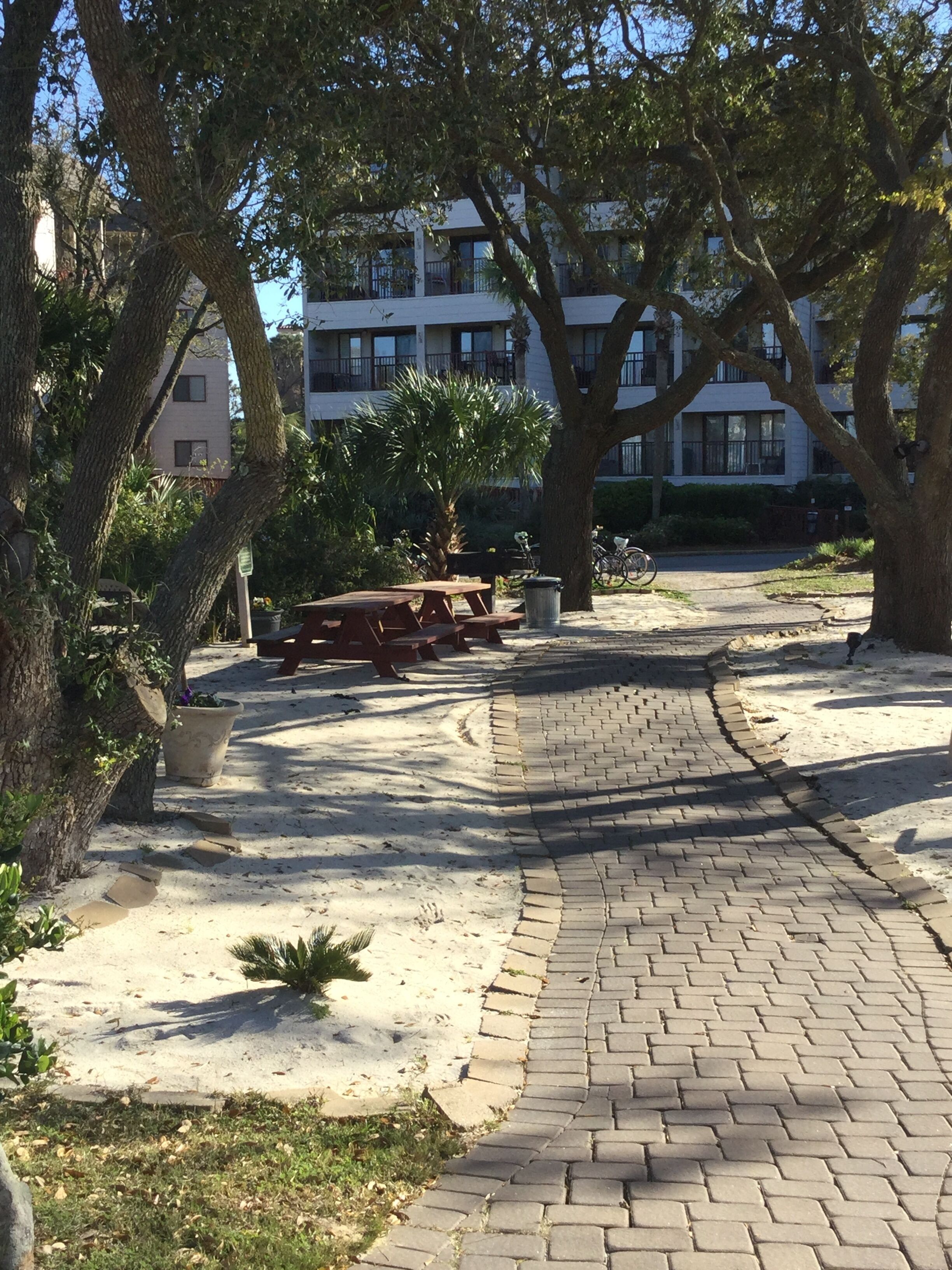 Une allée pavée bordée de bancs, entourée d’arbres et avec un bâtiment en arrière-plan.