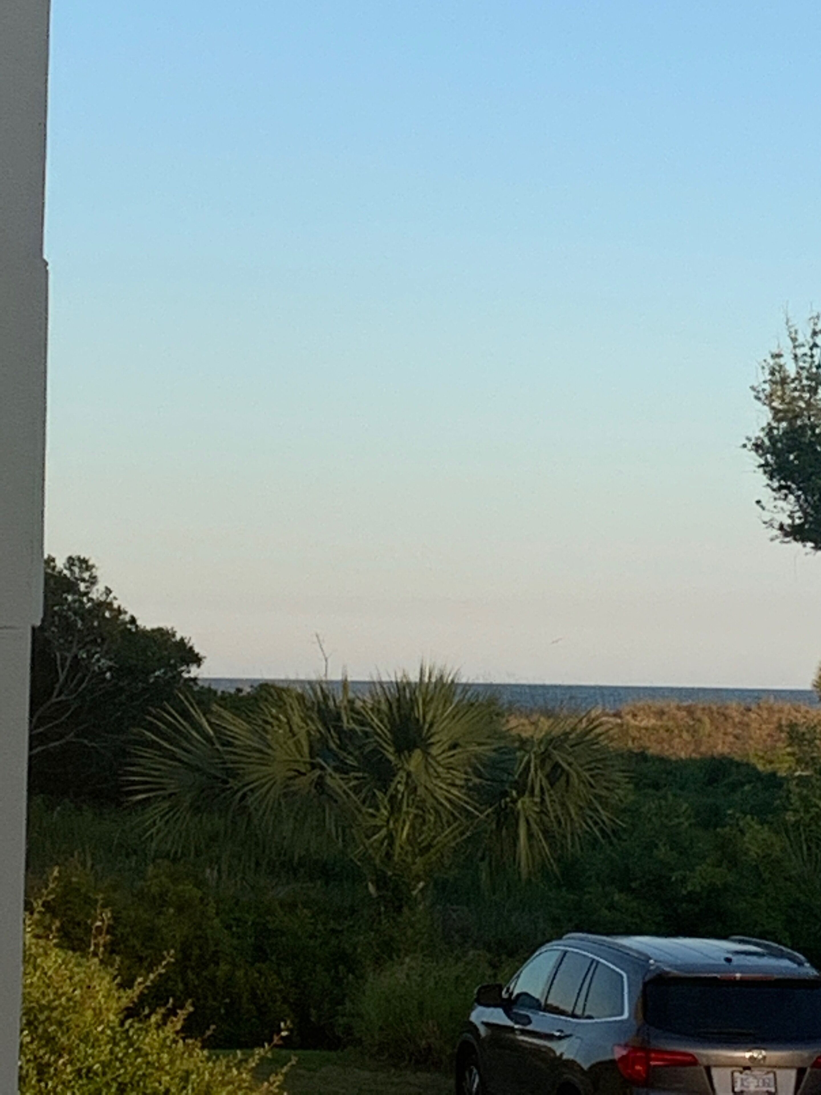 A black SUV parked in a grassy area with dense vegetation and a clear sky.