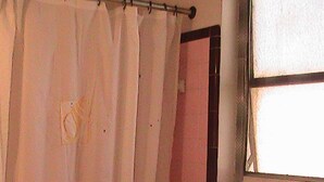 A bathroom with a shower curtain, a toilet, a towel rack with two towels, and a window with a view.