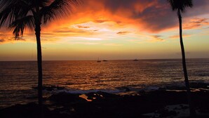 Ein Sonnenuntergang mit Palmen und dem Meer.