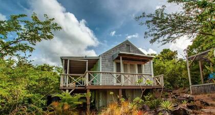 Secluded Woodland Cabin with lovely view