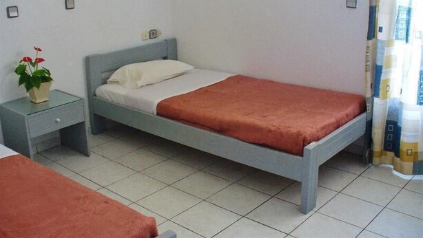 Une chambre avec un lit simple, une tête de lit grise, une table de chevet avec une lampe, une couverture rouge et une plante en pot.