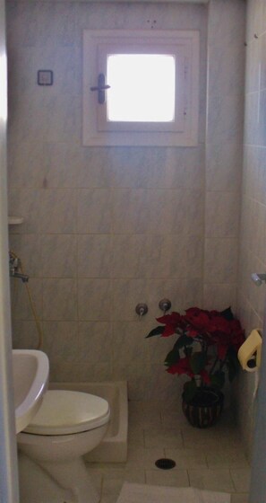 샤워 시설, 타월, 화장지