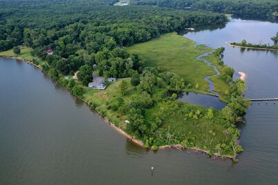 Waterfront Sunset Nature Reserve Kayak Eagle Osprey Snakehead Butterflies  