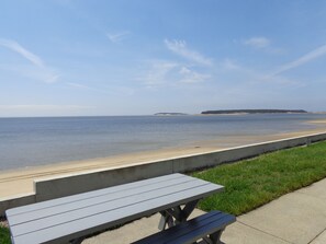 On the beach, sun loungers - Beach front Cottage, close to downtown - Private Beach and Great Water views (Wellfleet)
