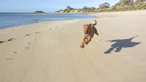 On the beach