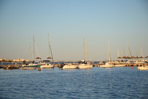 Marina - San Pedro Del Pinatar: very nice house with terrace and greenery  (san pedro del pinatar)