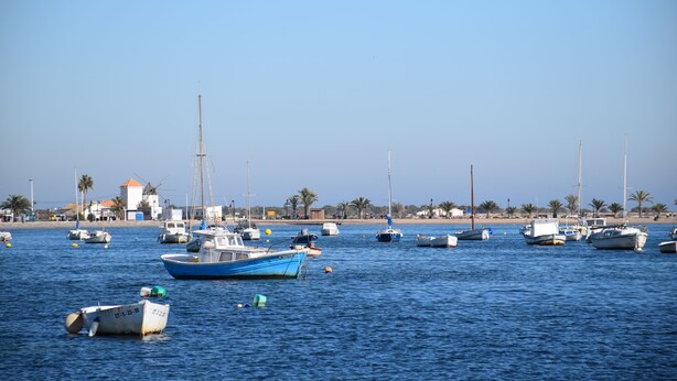 Una marina amb diferents vaixells amarrats, una platja de sorra i palmeres al fons.