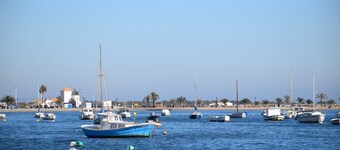 San Pedro Del Pinatar: very nice house with terrace and greenery 
