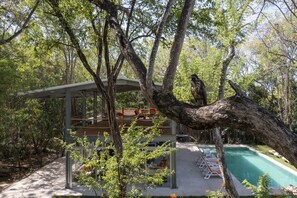 Outdoor dining - Five Bungalows, Swimming Pool and Amenities Amidst a Beachfront Forest. (Playa, Grande)