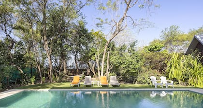 Five Bungalows, Swimming Pool and Amenities Amidst a Beachfront Forest.