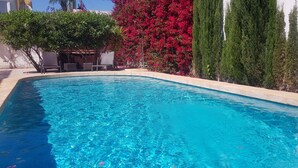 Una piscina con agua azul cristalina, rodeada de vegetación y un seto alto.