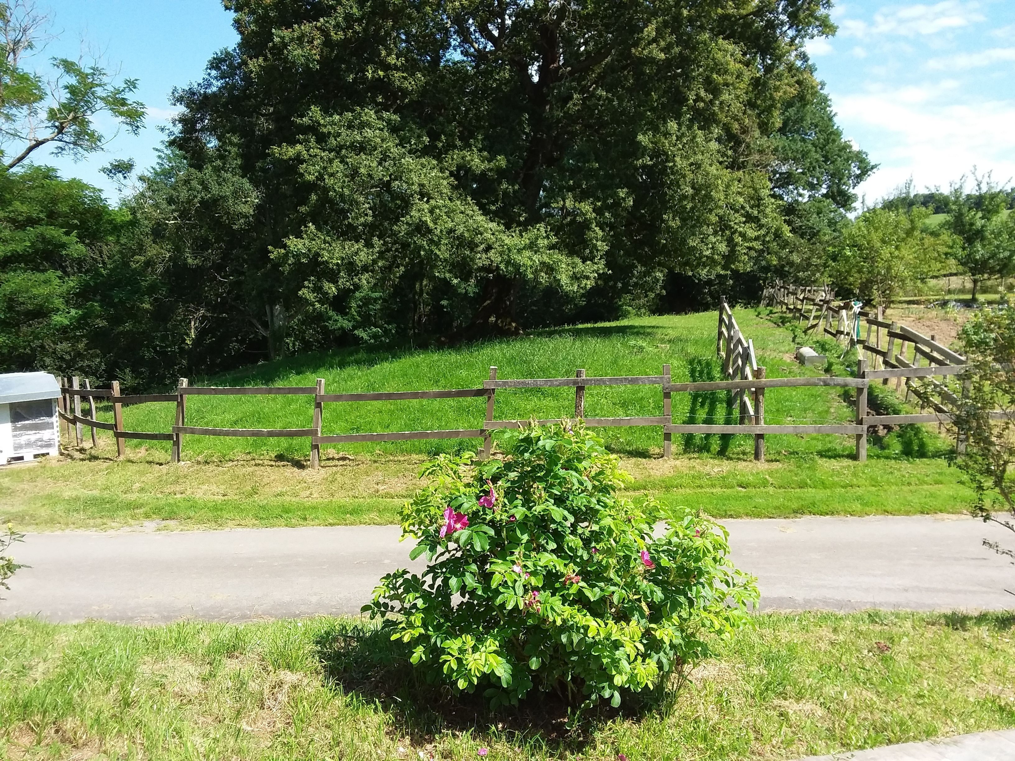 A rural landscape with a wooden fence, a road, and a green field.