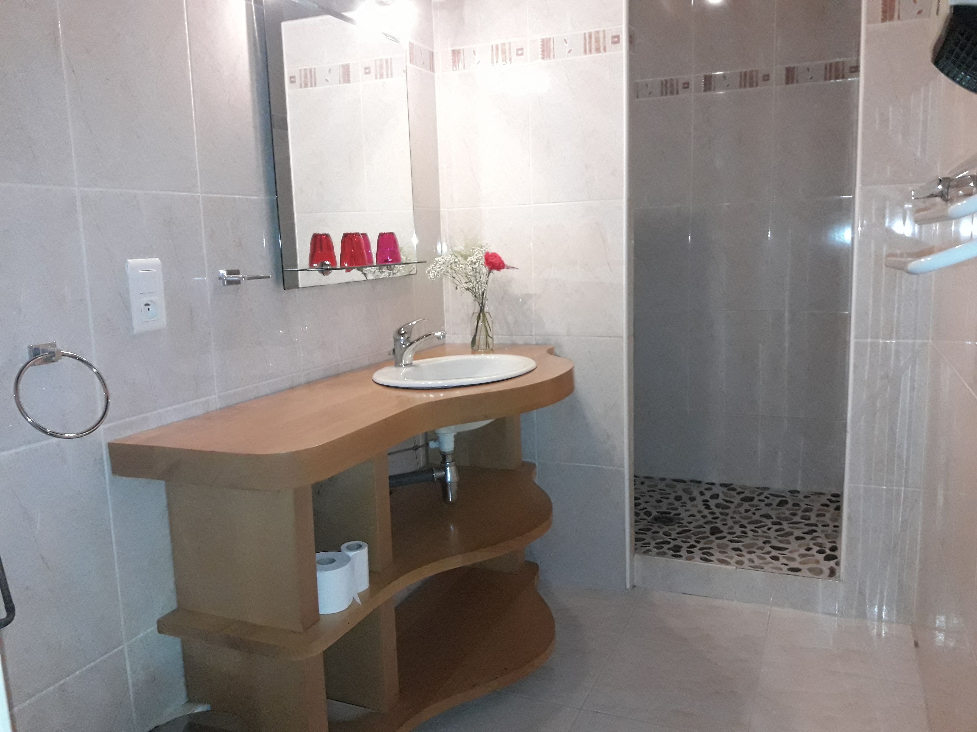 A bathroom with a curved sink, a mirror, a toilet paper holder, and a shower area.
