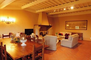 TV, fireplace, DVD player, books - Villa L'Arco thirty kilometers from Florence (Vinci)