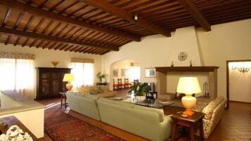 TV, fireplace, DVD player, books