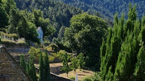 A stone building with a pool, lounge chairs, and a view of a forested hill. - Castineta: mansion - CastinetaHouse with character (Castineta)