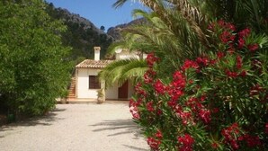 A small house with a tiled roof, surrounded by lush greenery and a gravel path. - Country house surrounded by beautiful countryside, with a large pool WIFI FREE (Pollensa)
