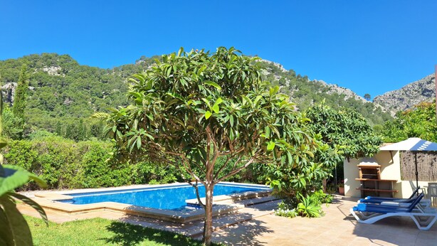 A pool area with a tree, lounge chairs, and a mountain backdrop. - Country house surrounded by beautiful countryside, with a large pool WIFI FREE (Pollensa)