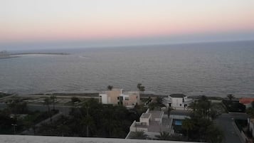 Une vue sur la côte, avec des bâtiments et des palmiers.