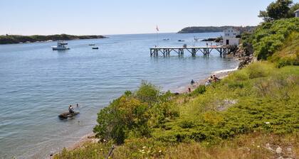 Shady Potts Point Cottage Cooled by Ocean Breezes