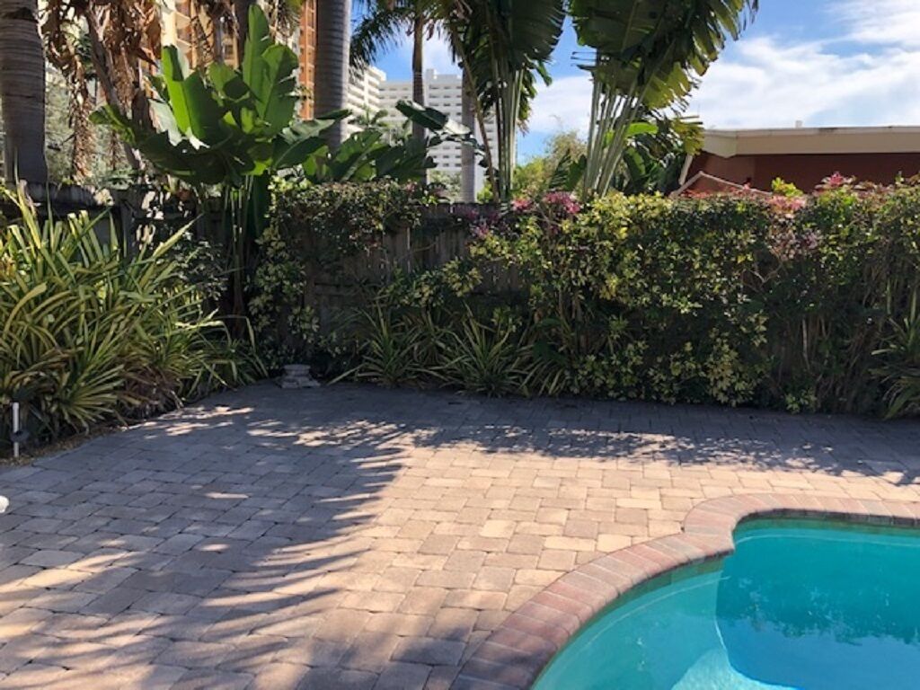 A paved patio area with a swimming pool, surrounded by lush greenery and tall palm trees.