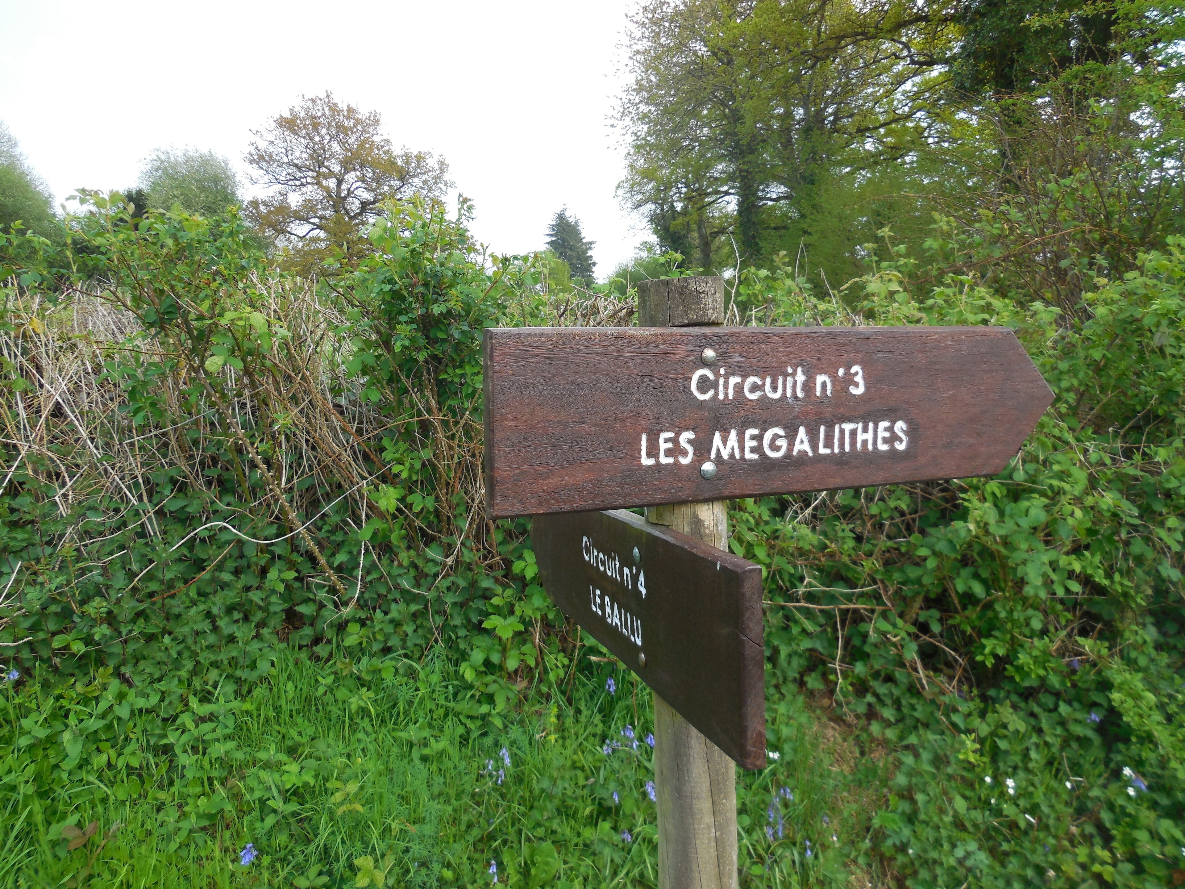 Un panneau indicateur en bois indiquant les différentes directions pour les randonneurs.
