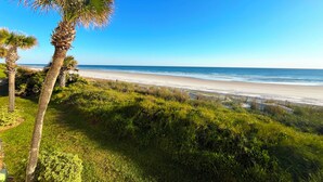 A beach view with palm trees and a clear sky. - Crescent Beach I-14 Four Winds Condo (St Augustine)