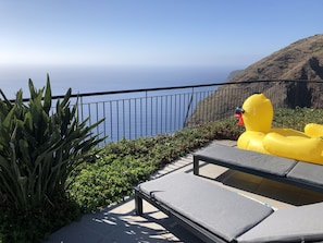 Property grounds - Quinta Falcoes, luxury villa, sleeps 8, stunning sea views, heated pool (Faja Da Ovelha)