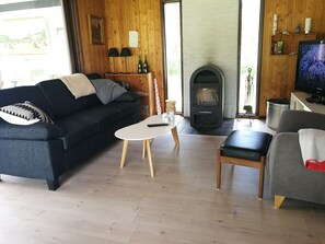 Smart-tv, een open haard, een dvd-speler en boeken