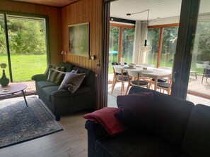 Smart TV, chimenea, reproductor de DVD y libros 