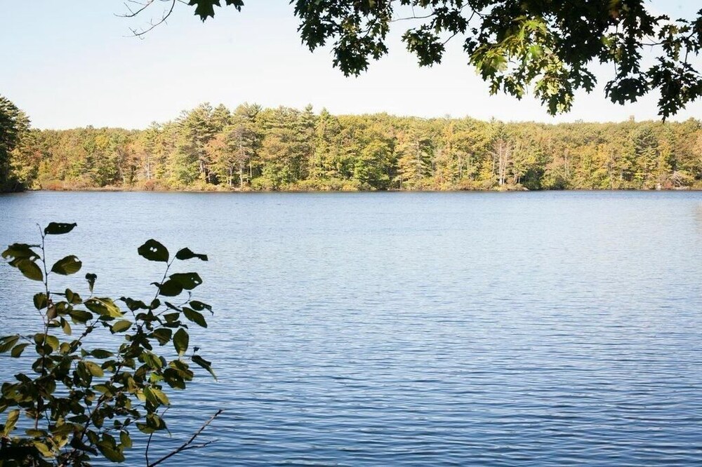 Pond lakeside getaway