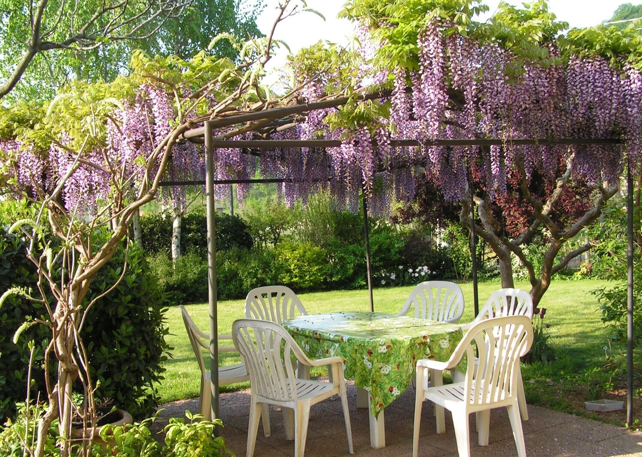 Iseo Lake  Apartment with terrace and garden.
