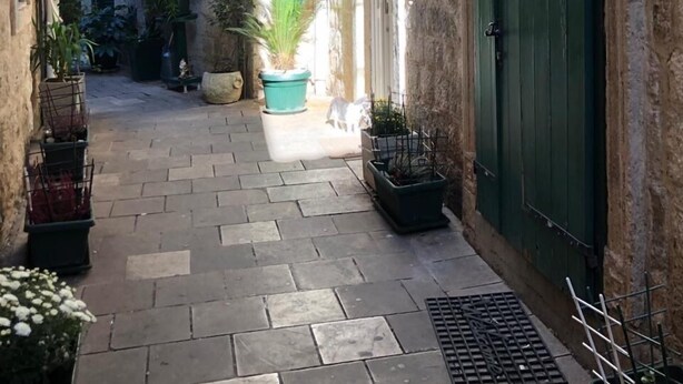 Une ruelle étroite pavée de pierres, avec une porte verte, des plantes en pot et des unités de climatisation suspendues.