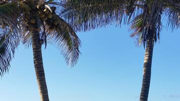 En la playa, camastros y toallas de playa
