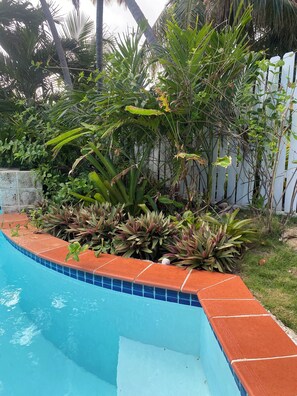 Pool - On the beach, a private pool,  a house all to yourself. (Vieques)
