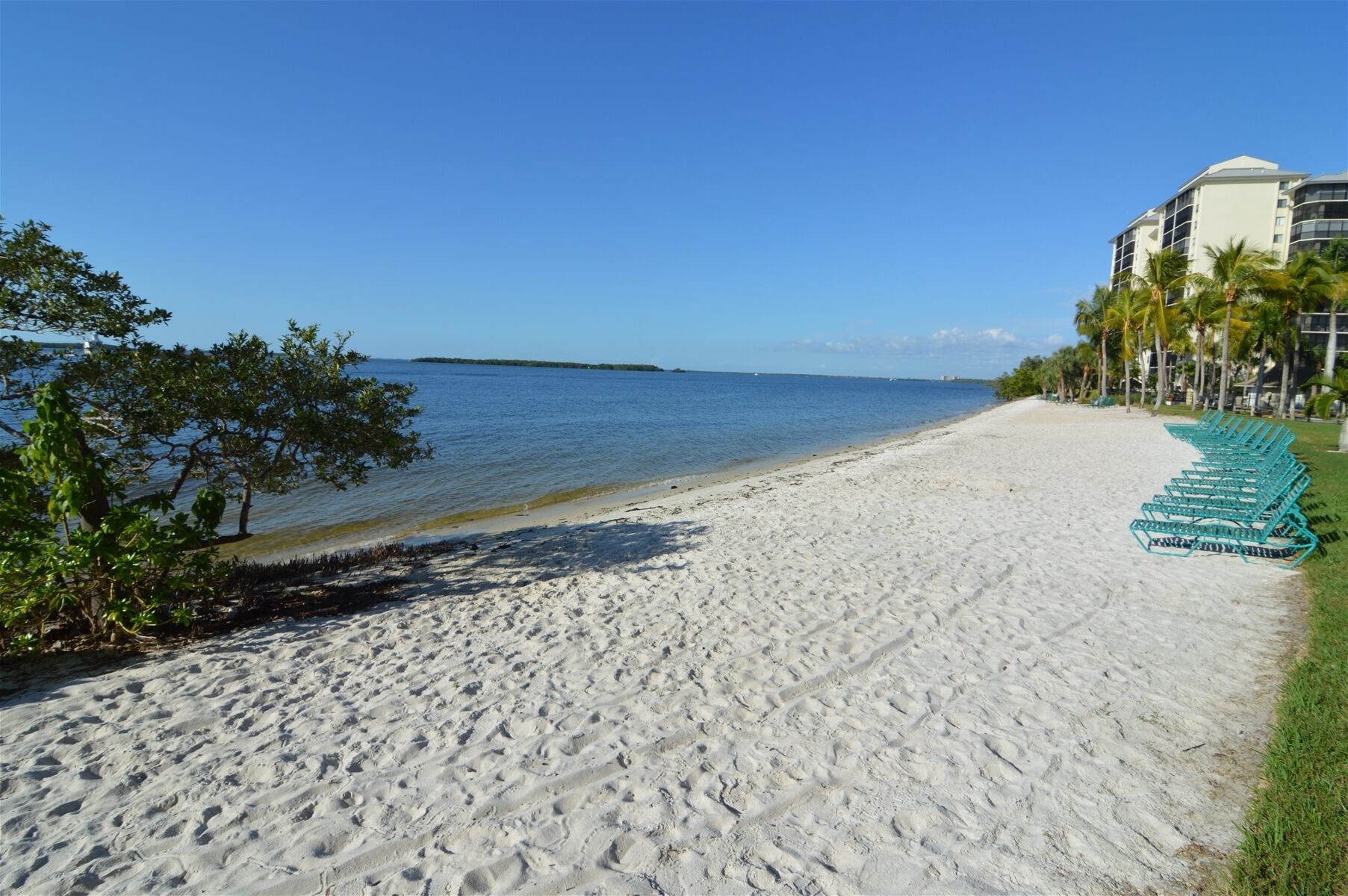 A sandy beach with a clear blue sky, a calm sea, and a row of green lounge chairs along the shore.