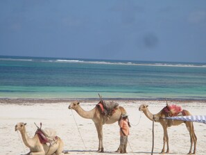 Plage à proximité, chaises longues