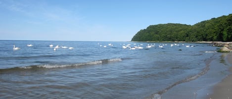 Liegestühle