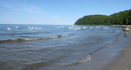 Kleines, separates Ferienhaus auf einem großen Wiesen-und Obstgartengrundstück